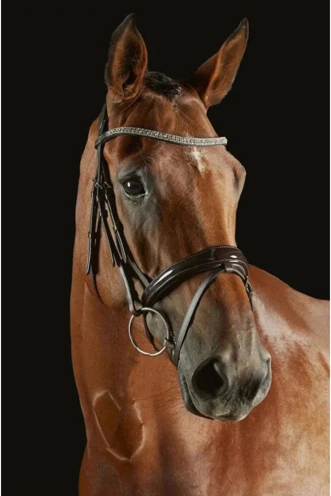 Collegiate Comfitec Luna Bridle - Brown Hero