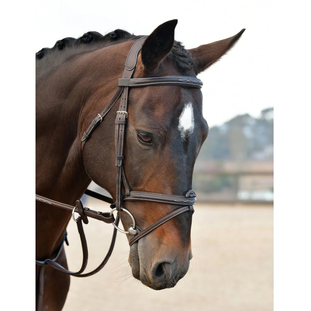 Collegiate Comfitec Opulux Fancy Stitch Padded Hanoverian Bridle - 3