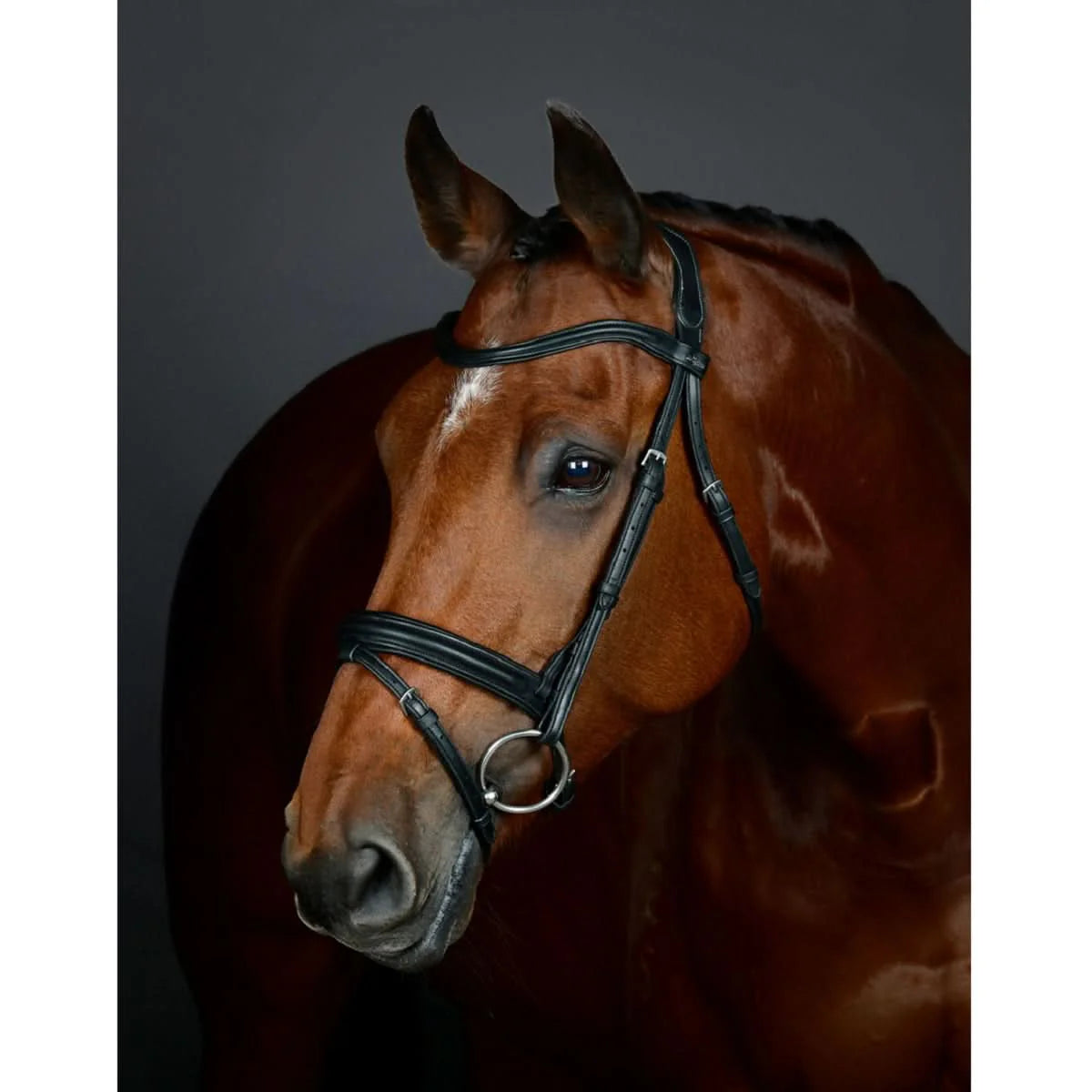 Collegiate Comfitec Opulux Padded Hanoverian Flash Bridle - Black