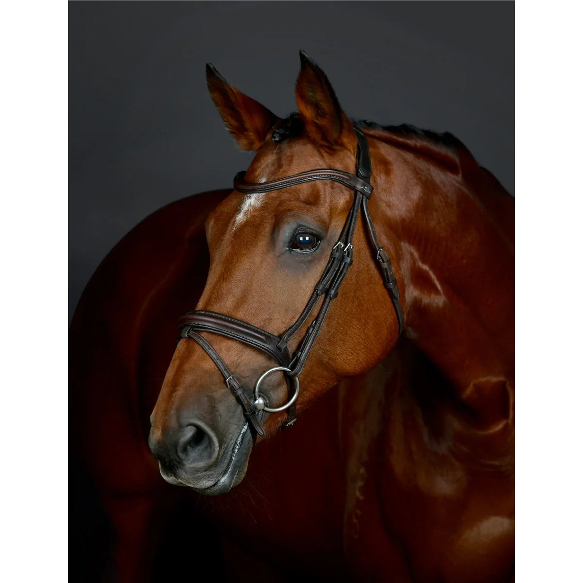 Collegiate Comfitec Opulux Padded Hanoverian Flash Bridle - Brown