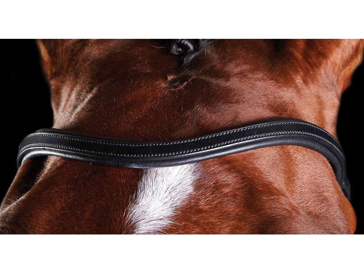 Collegiate ComFiTec Training Bridle - 2