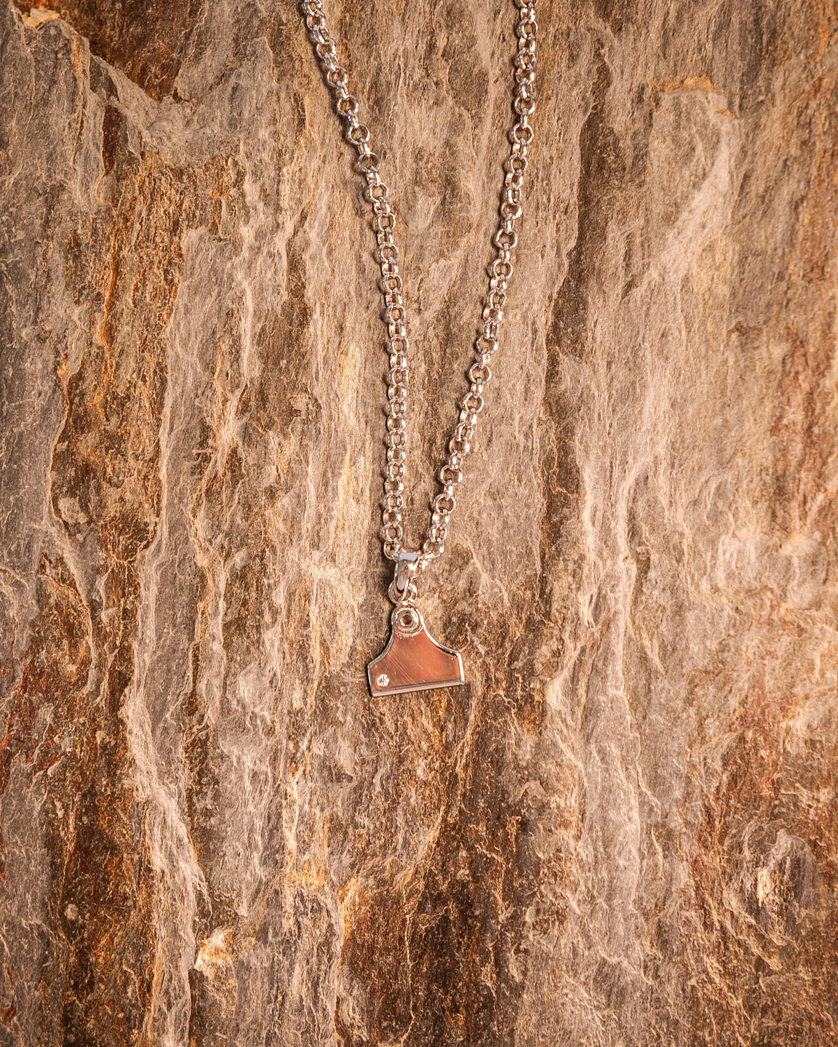 Country Collective Cattle Tag Necklace - 3