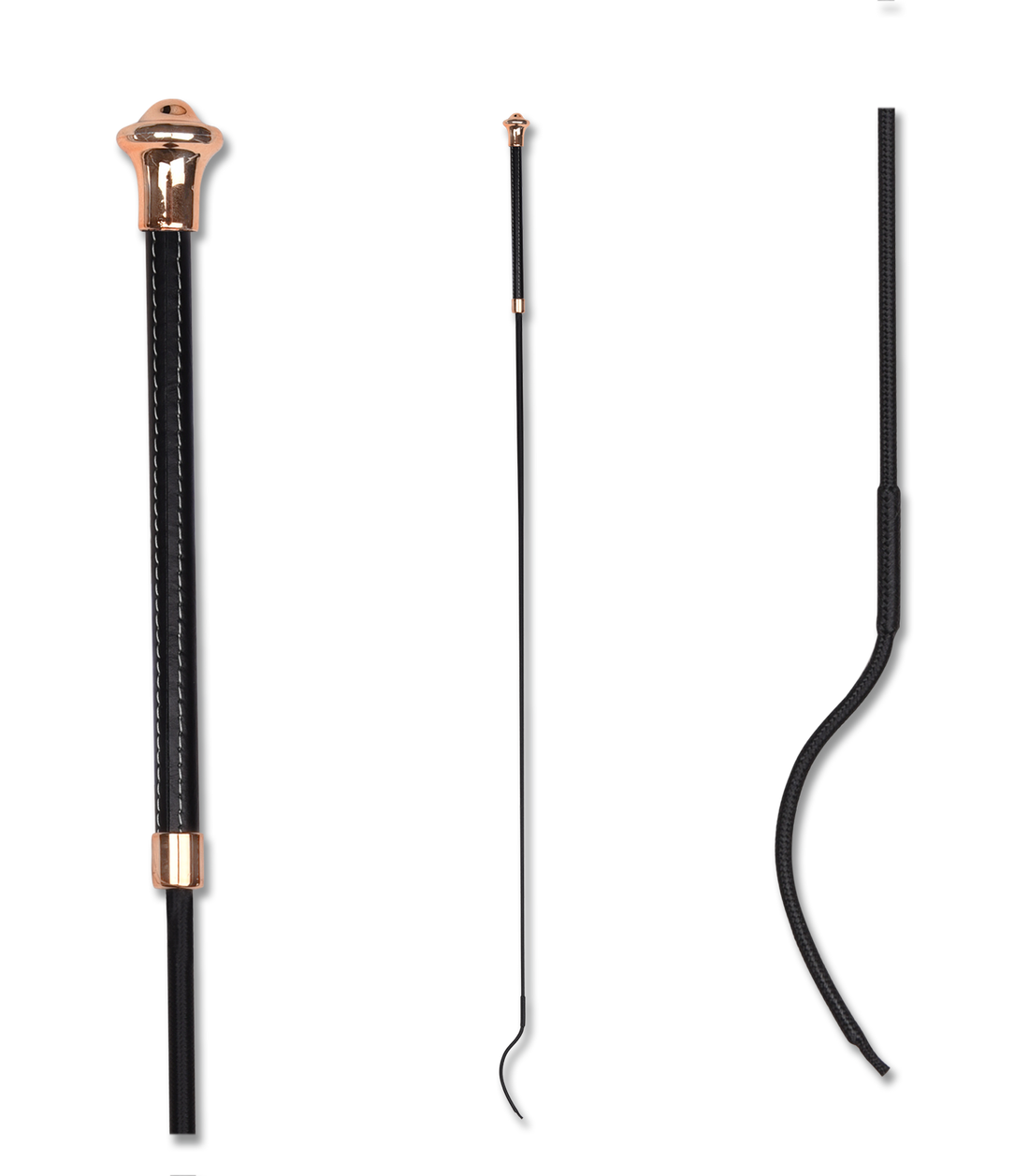 Waldhausen Whip Dressage Noblesse