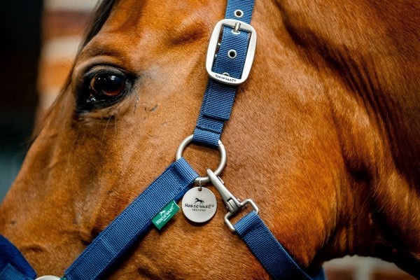 Horseware Ireland Signature Grooming Headcollar