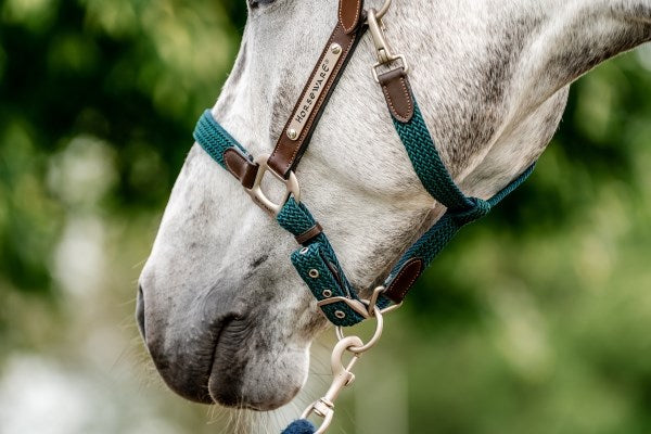 Horseware Ireland Signature Braided Headcollar