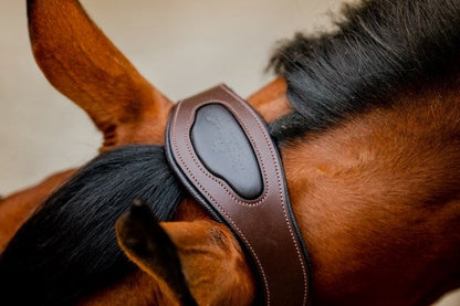 Horseware Ireland Signature Competition Headcollar