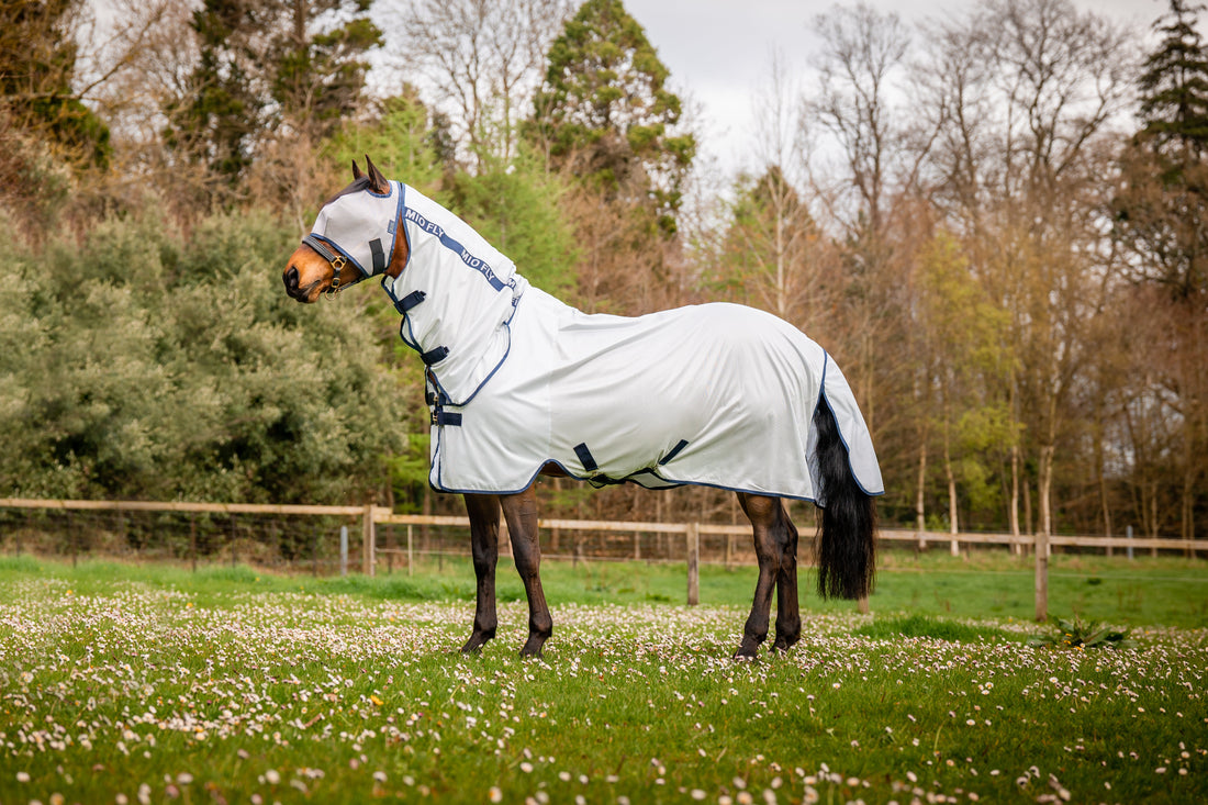Mio Fly Rug Combo