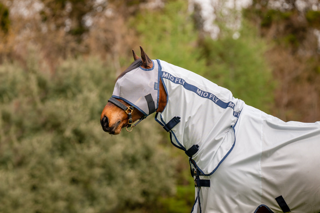 Mio Fly Rug Combo