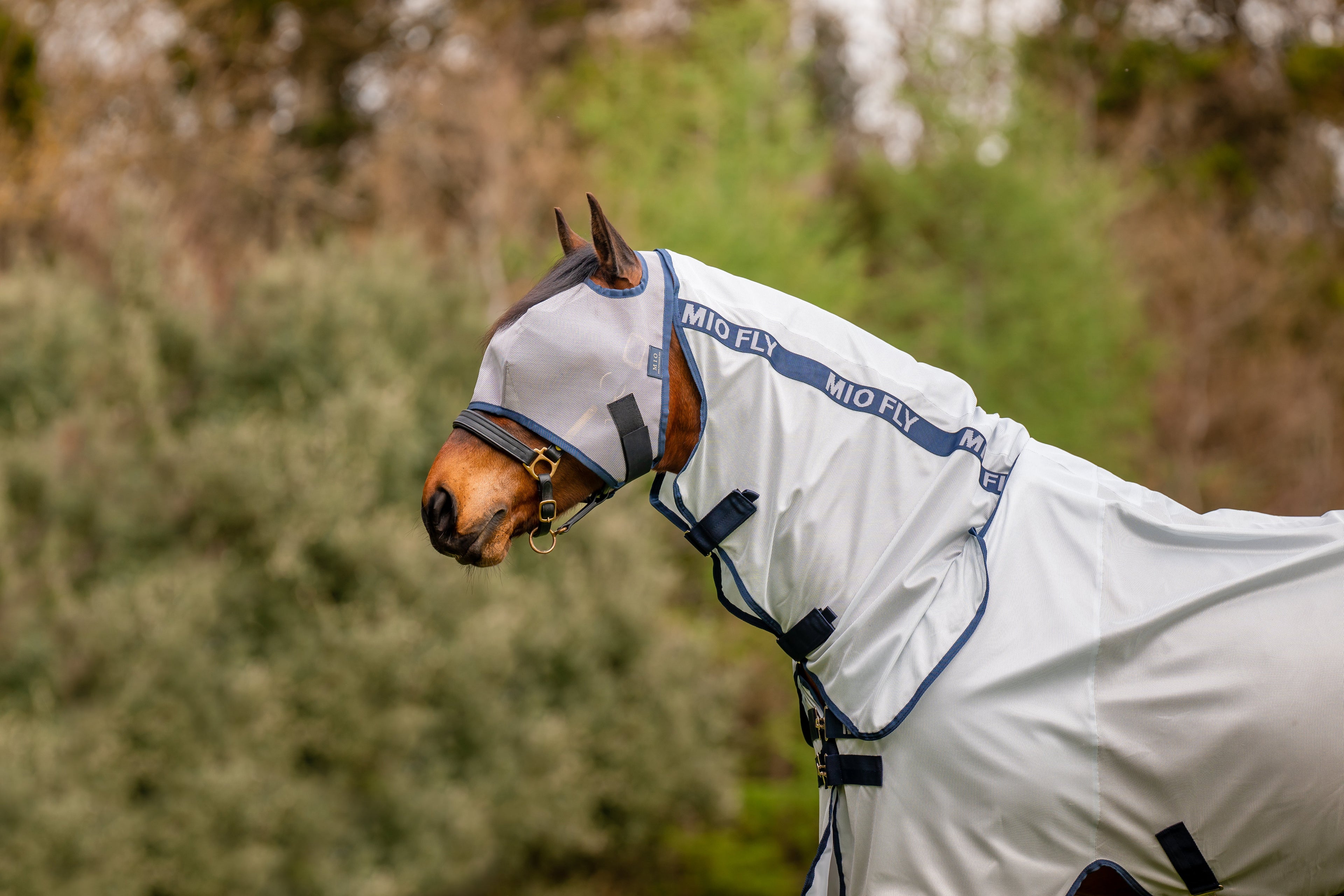 Mio Fly Rug Combo