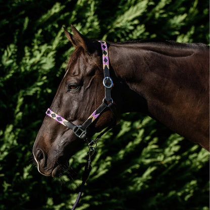 Double Hill Leather Polo Halter - Purple