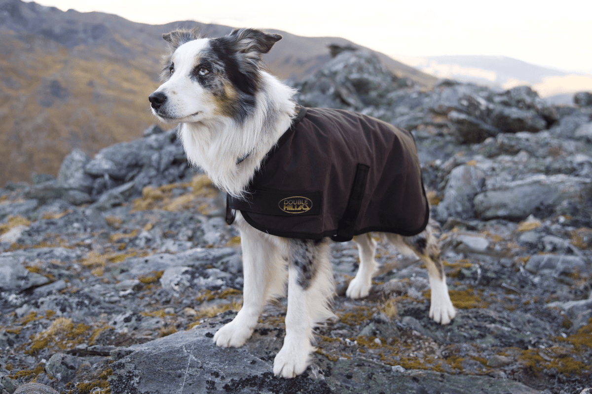 Double Hill Oilskin Dog Coat
