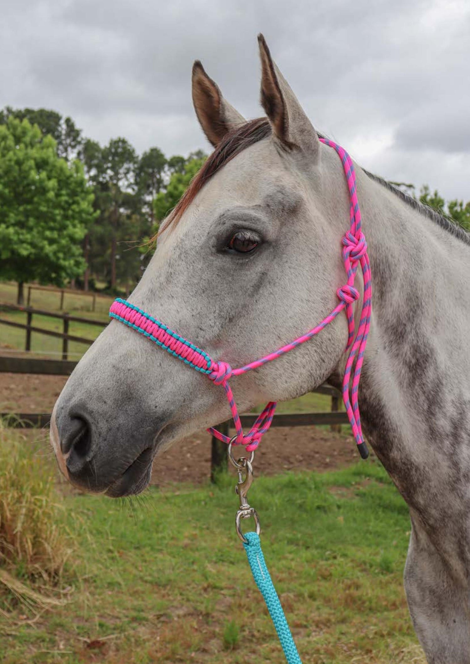 Zilco Rope Halter with Ring