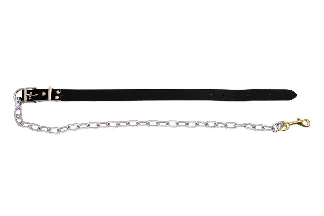 Drover Leather Dog Collar with Chain