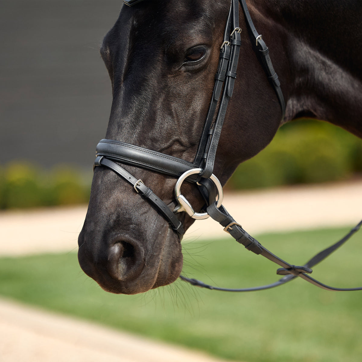 Dublin Crystal Flash Bridle - 2