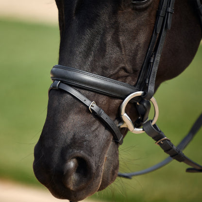 Dublin Crystal Flash Bridle - 3
