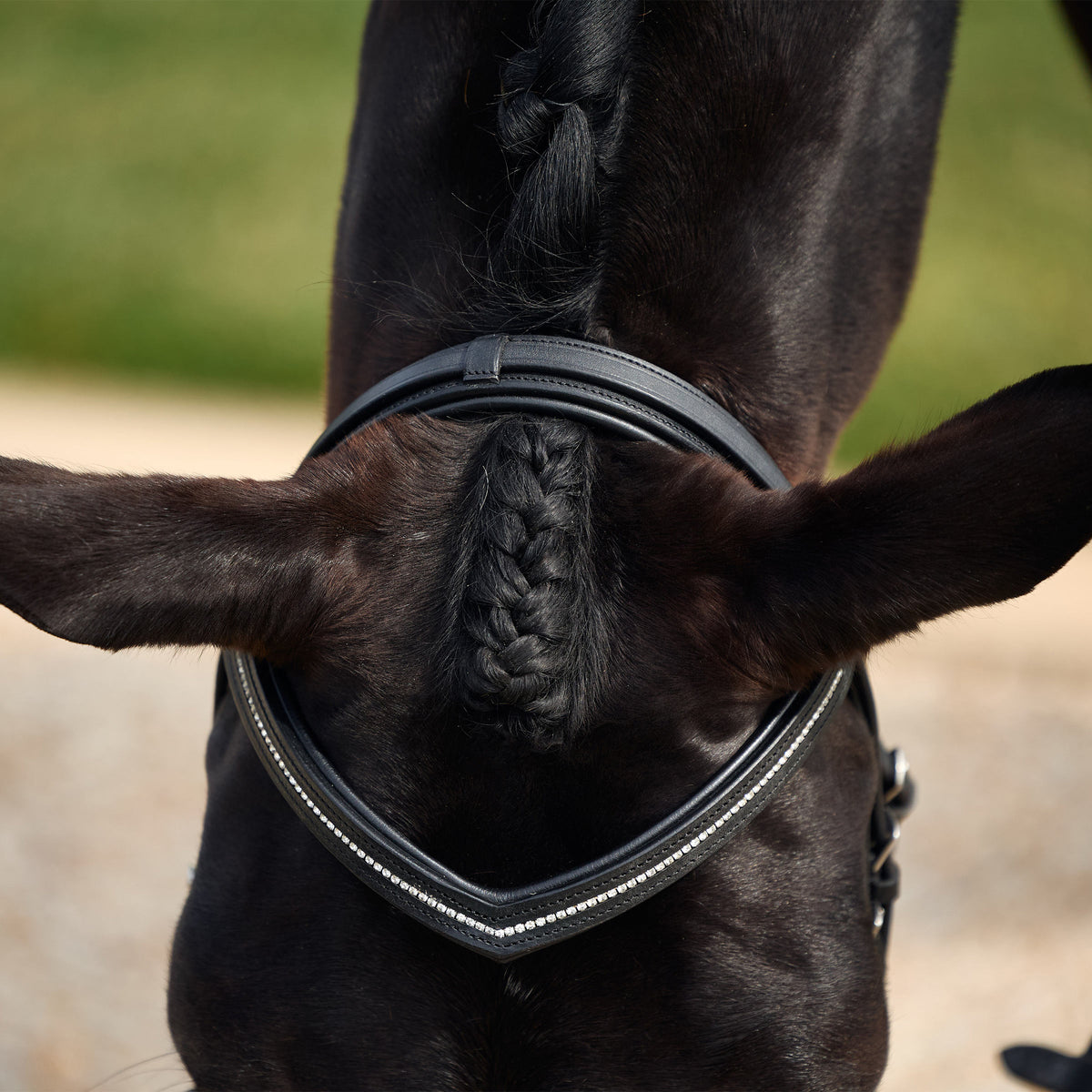 Dublin Crystal Flash Bridle - 4