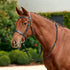 Dublin Flat Cavesson Bridle - Black