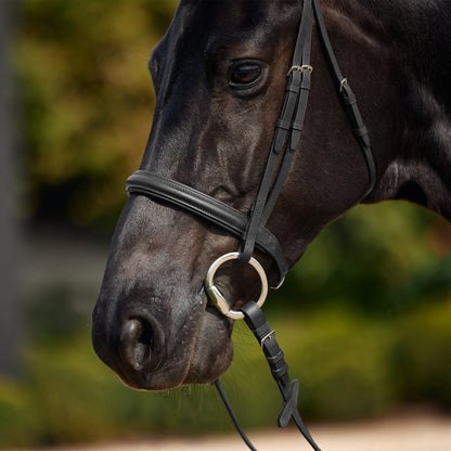 Dublin Padded Cavesson Bridle - Black Detail