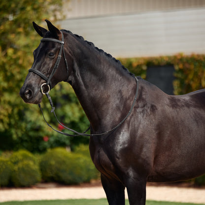 Dublin Padded Cavesson Bridle - Black
