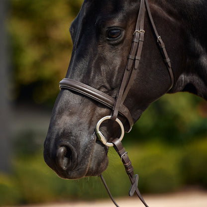 Dublin Padded Cavesson Bridle - Brown Detail
