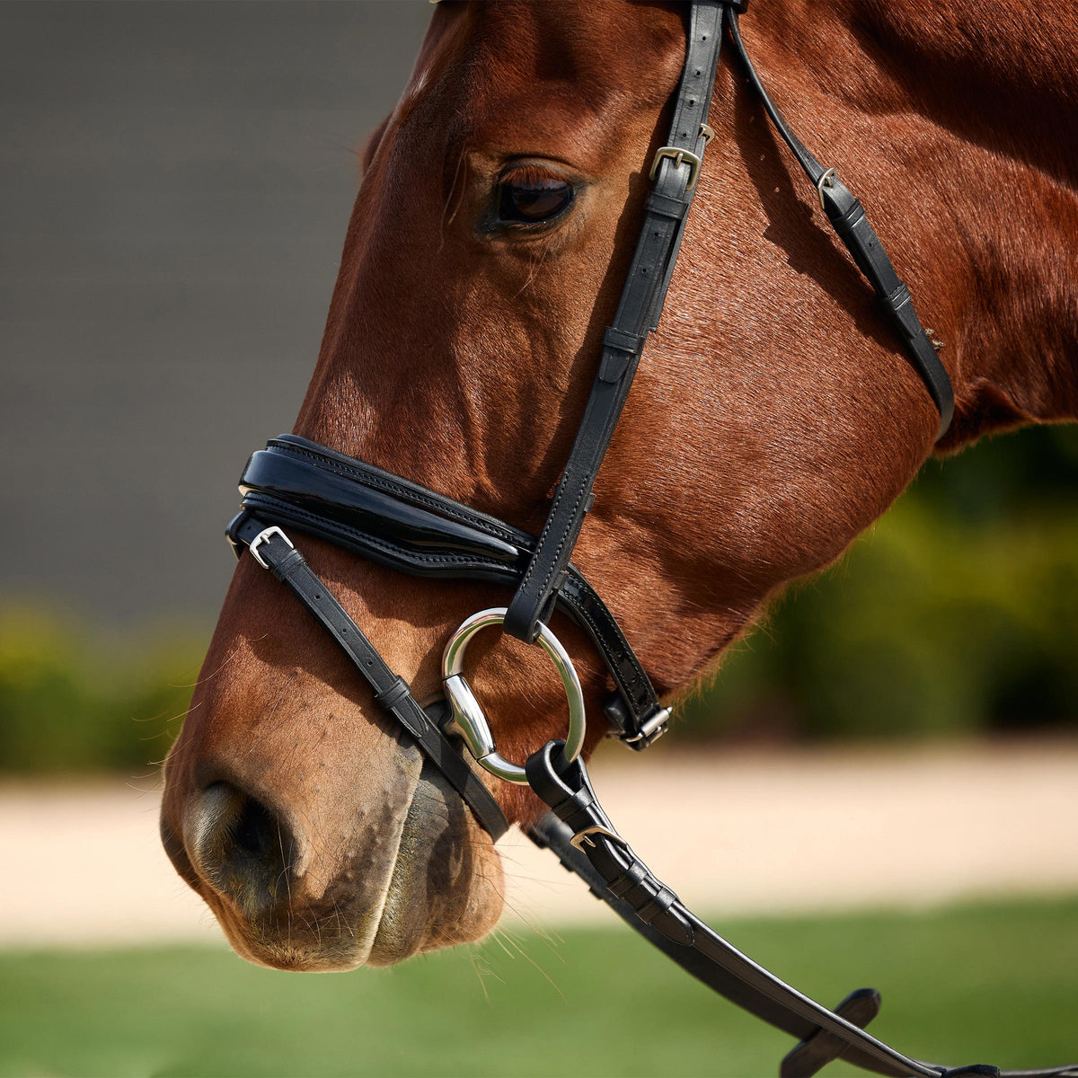 Dublin Padded Comfort Crown Patent Flash Bridle - 3