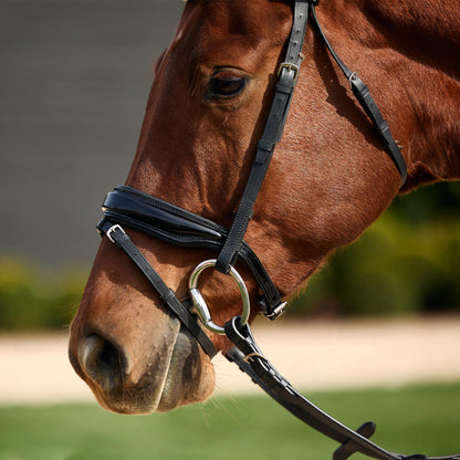 Dublin Padded Comfort Crown Patent Flash Bridle - 3