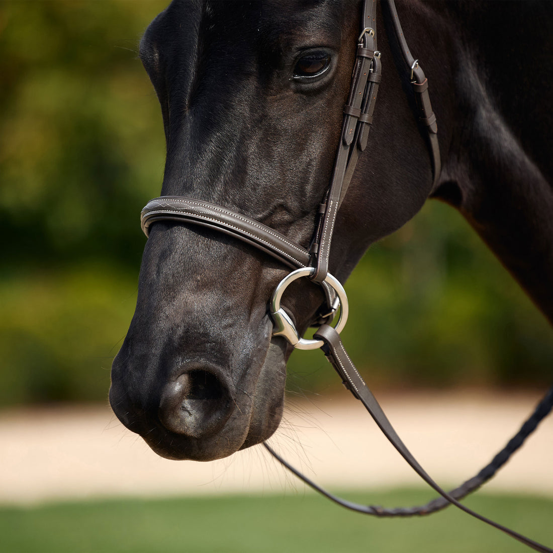 Dublin Padded Fancy Stitch Hunt Bridle - Detail