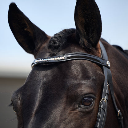 Dublin Padded Mono Crown Patent Flash Bridle - 3