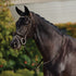 Dublin Padded Mono Crown Patent Flash Bridle - 4