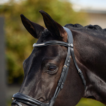 Dublin Padded Mono Crown Patent Flash Bridle - Black Detail
