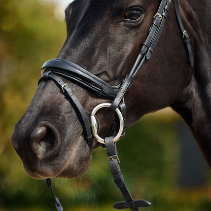 Dublin Padded Mono Crown Patent Flash Bridle