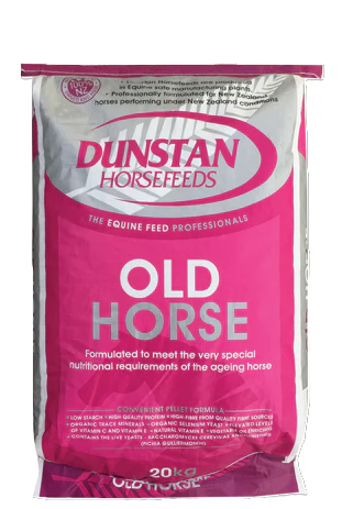 Dunstan Old Horse