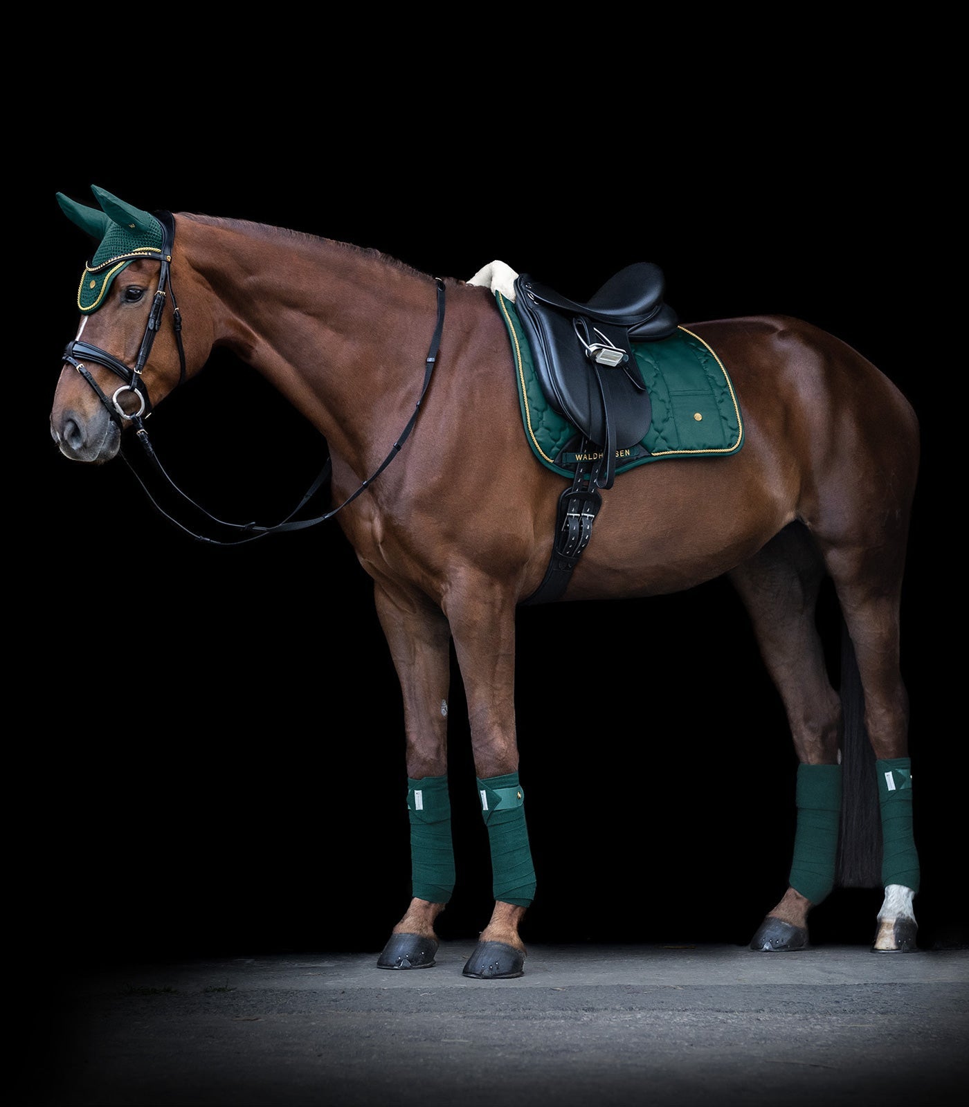 Waldhausen Modern Rose Ear Bonnet