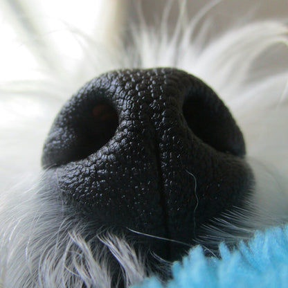 Eco Dog Snozz &amp; Paw Natural Balm - 3
