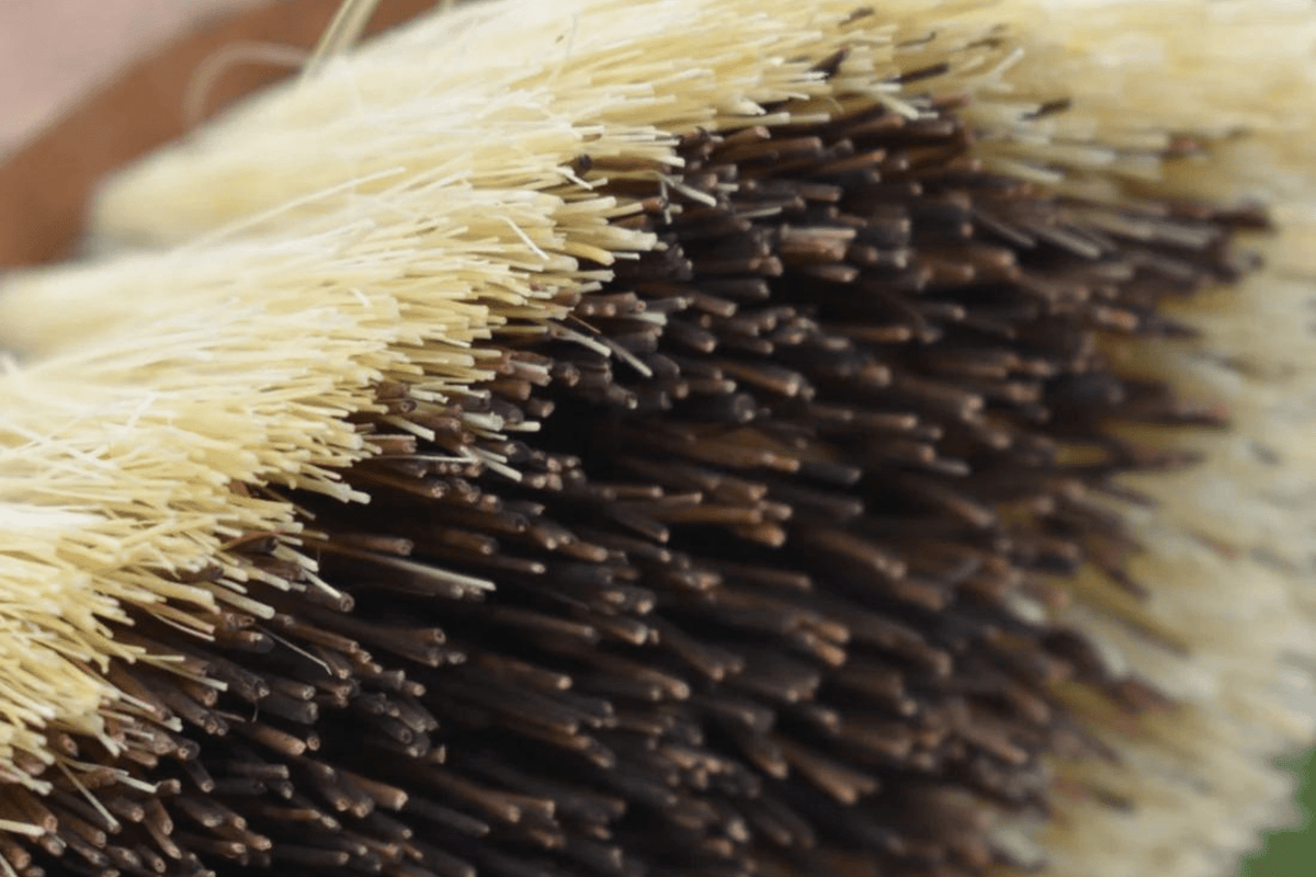 Eco Horse Grubby Mud Brush - 2