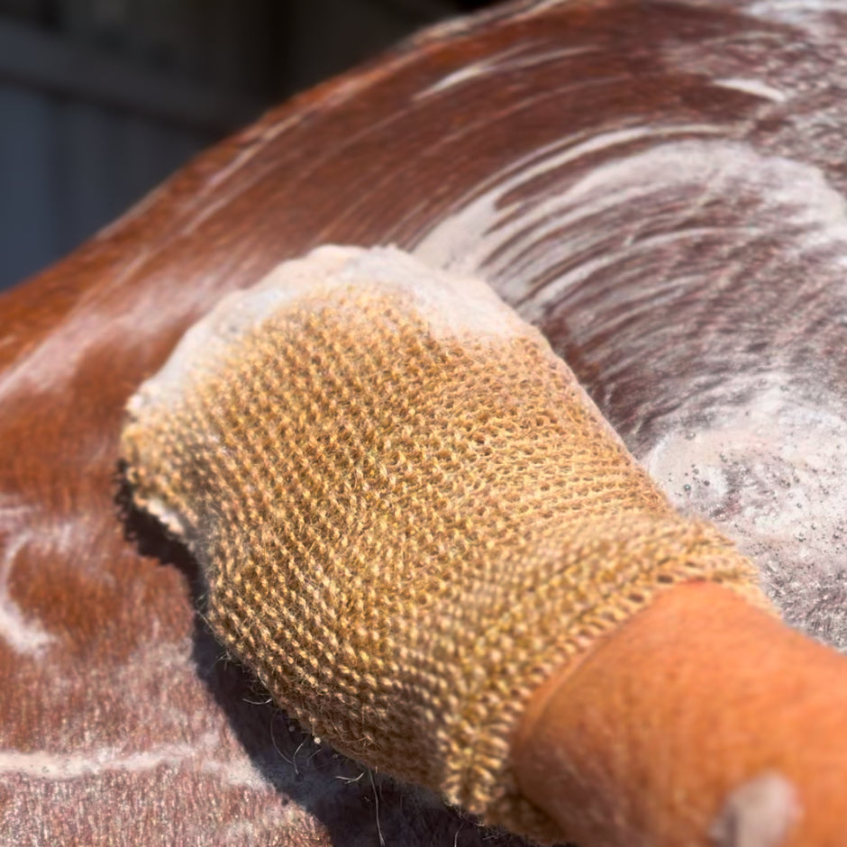 Eco Horse Mighty Mitt - Shampoo Body