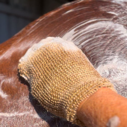 Eco Horse Mighty Mitt - Shampoo Body