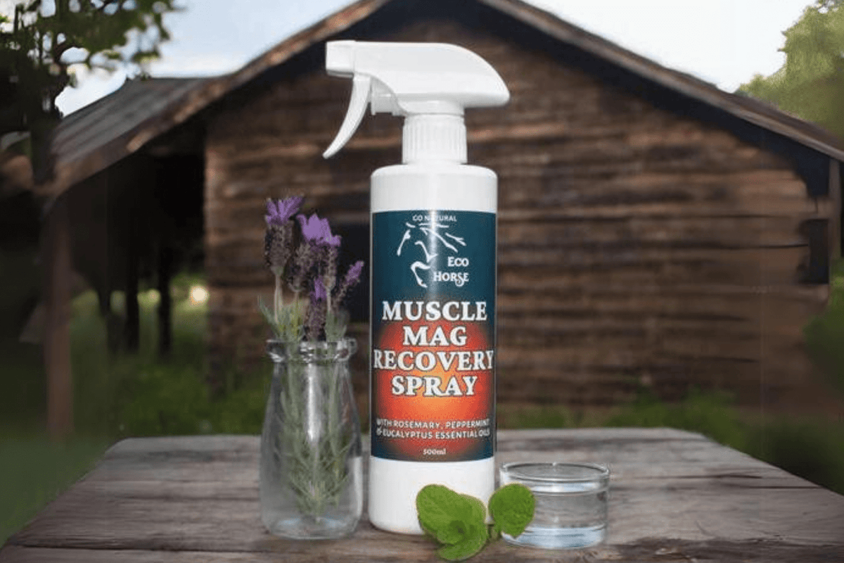 Eco Horse Muscle Mag Recovery Spray