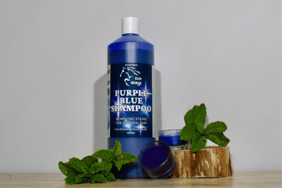 Eco Horse Purple Blue Shampoo - 3