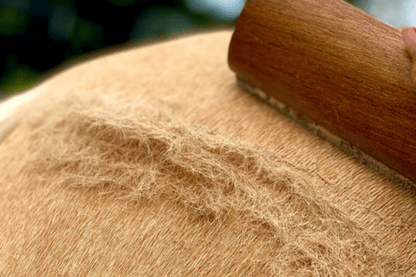 Eco Horse Shedder - 2