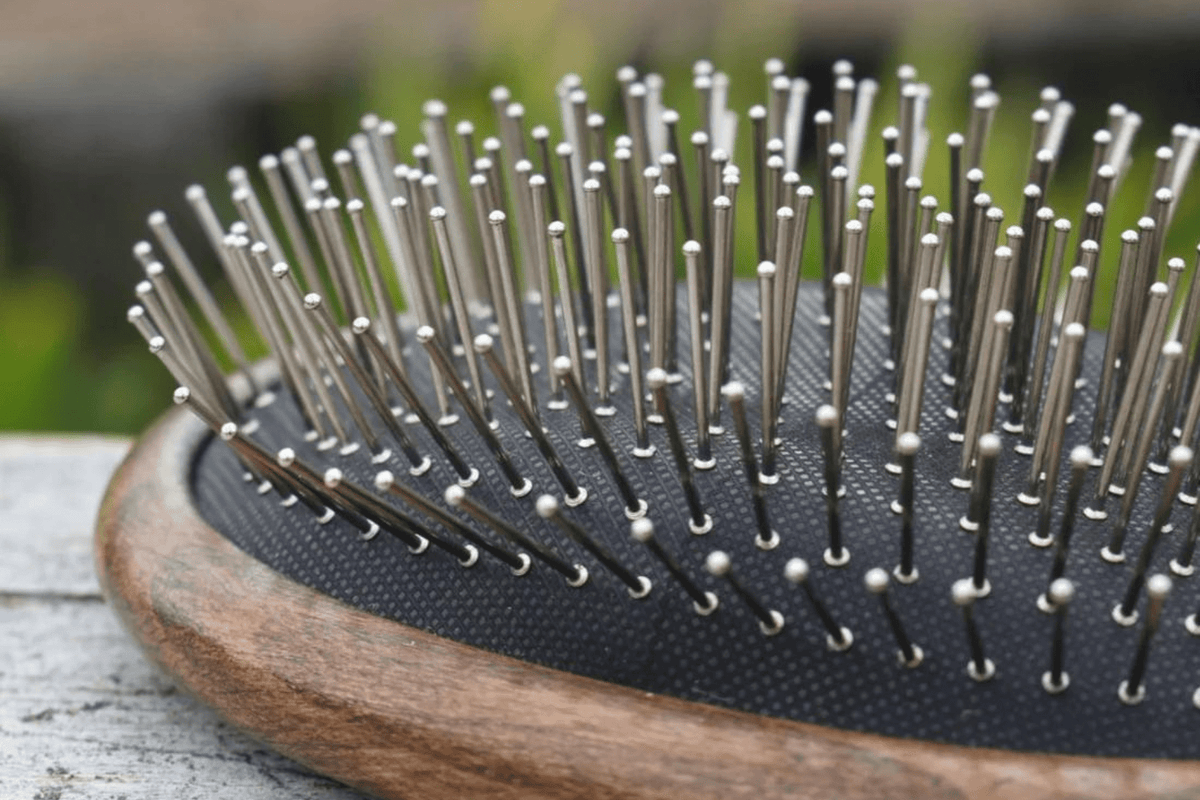 Eco Horse Tail &amp; Mane Brush