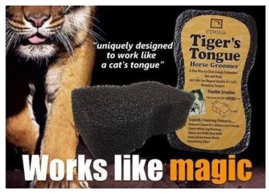 Epona Tiger&