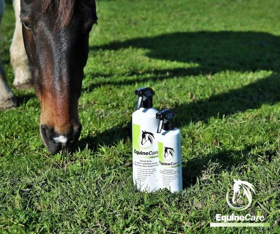 EquineCare Probiotic Topical Spray - 500ml - 3