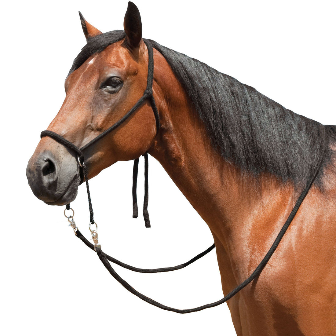 Ezy Ride Bitless Bridle Braided Brush Nylon - Brown