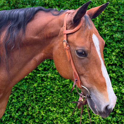 Ezy Ride Bridle One Ear Stitched with Raised Leather - 5