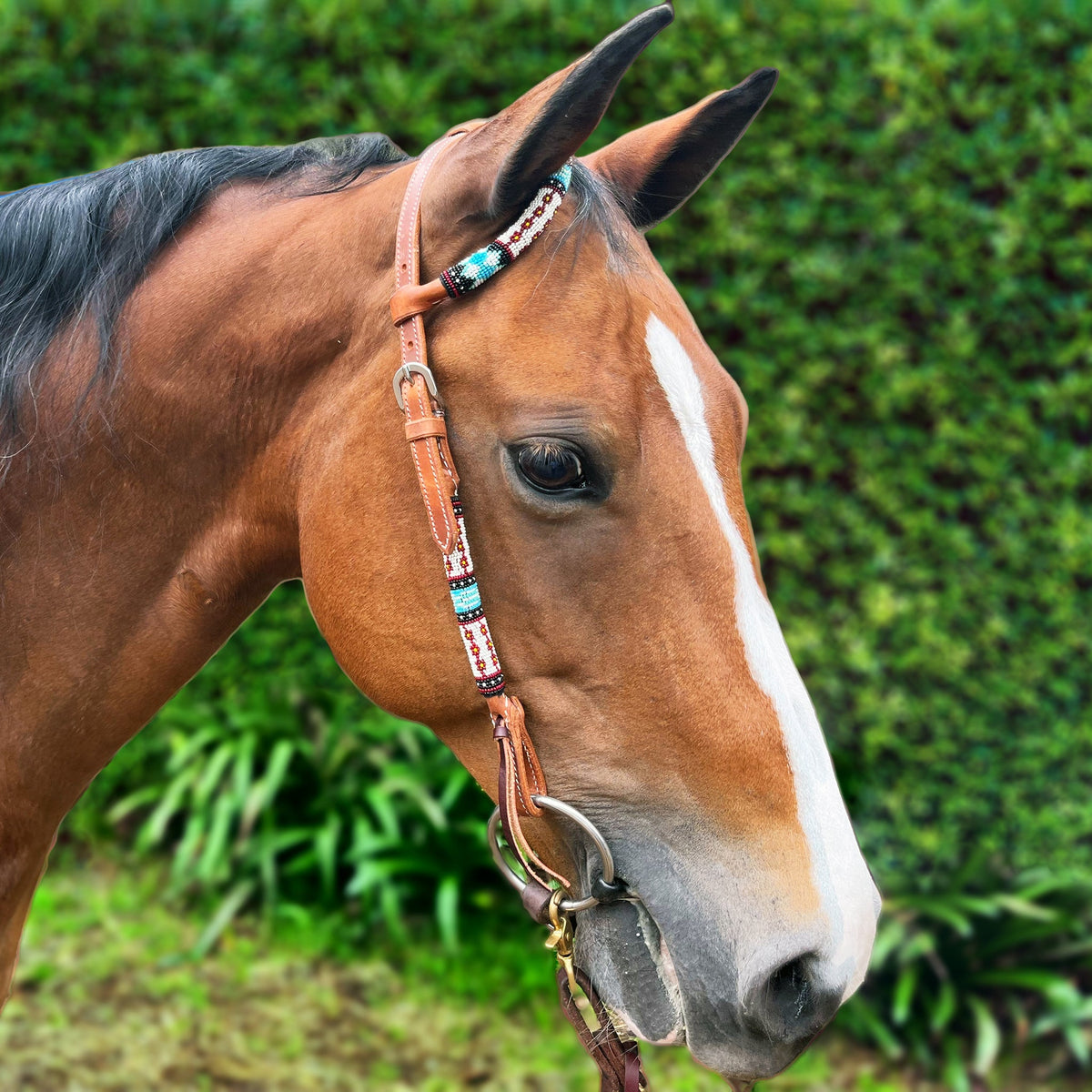 Ezy Ride Bridle One Ear with Blue Beaded Accent - Lifestyle
