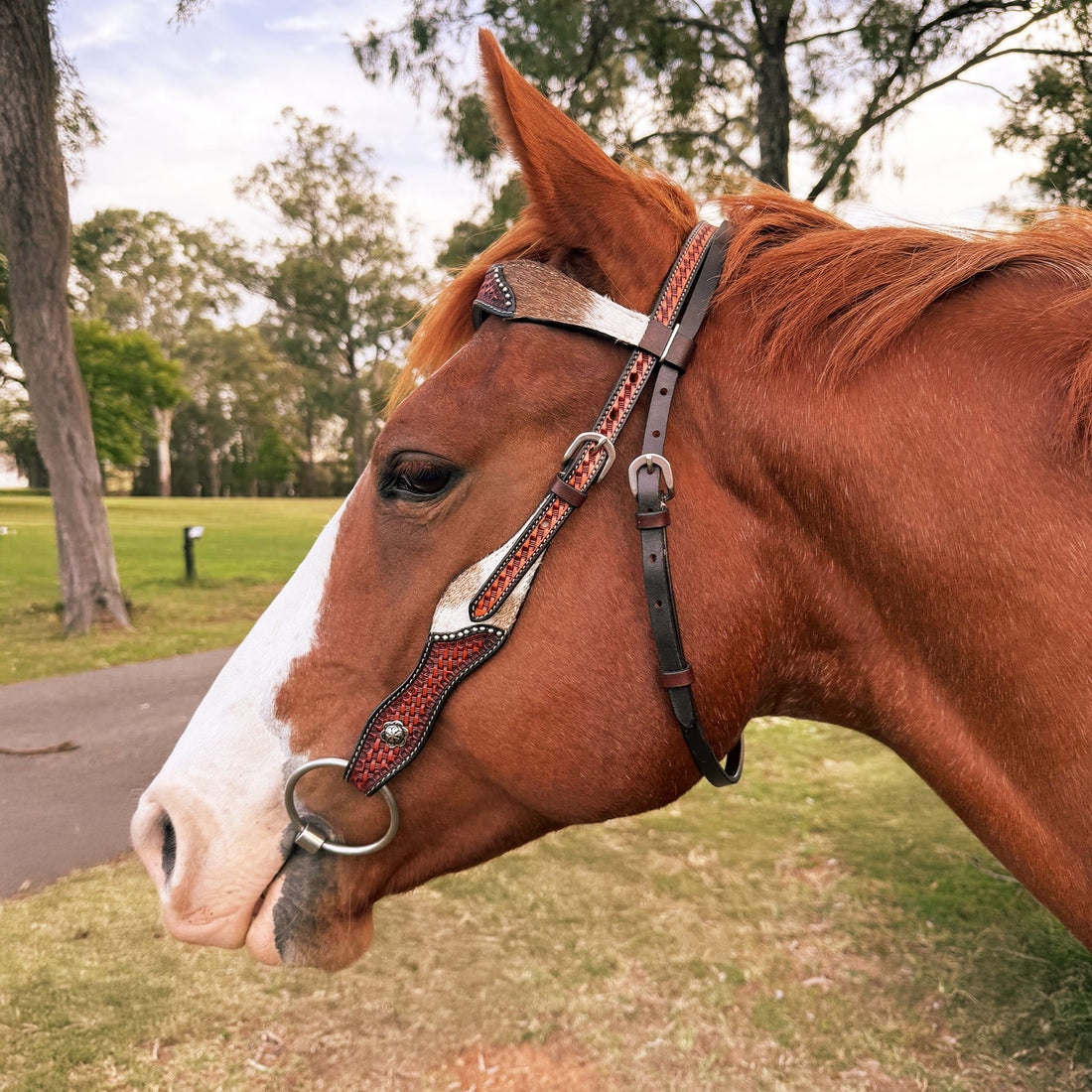 Ezy Ride Bridle with Wave Brow, Cowhide and Basket Stamping Two Tone - 2
