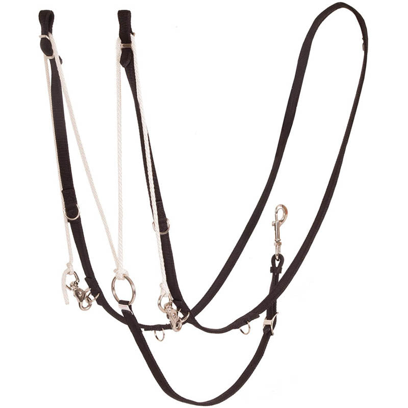 Ezy Ride German Martingale Nylon Web