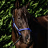Flair Break Away Halter - Royal Blue