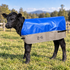 Flair Calf Cover Combo